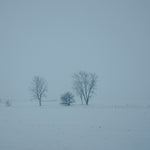 Framed Giclee 8x10 on Fine Art Photographic Single Weight Matboard