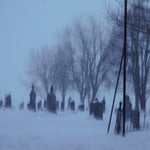 Pearl Print Size 11x17" unframed