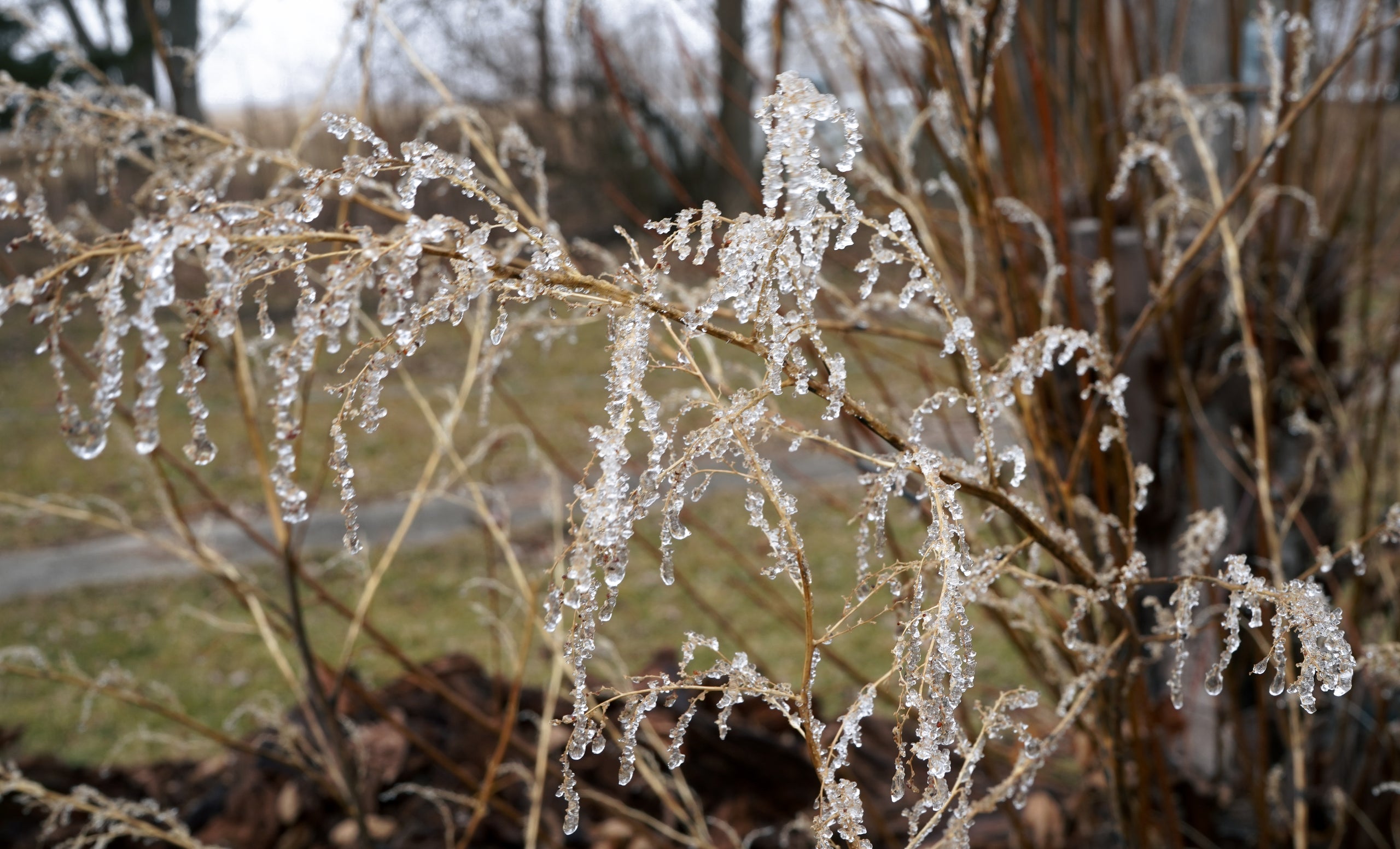 Framed Giclee 8x10 on Fine Art 
Single Weight Matboard