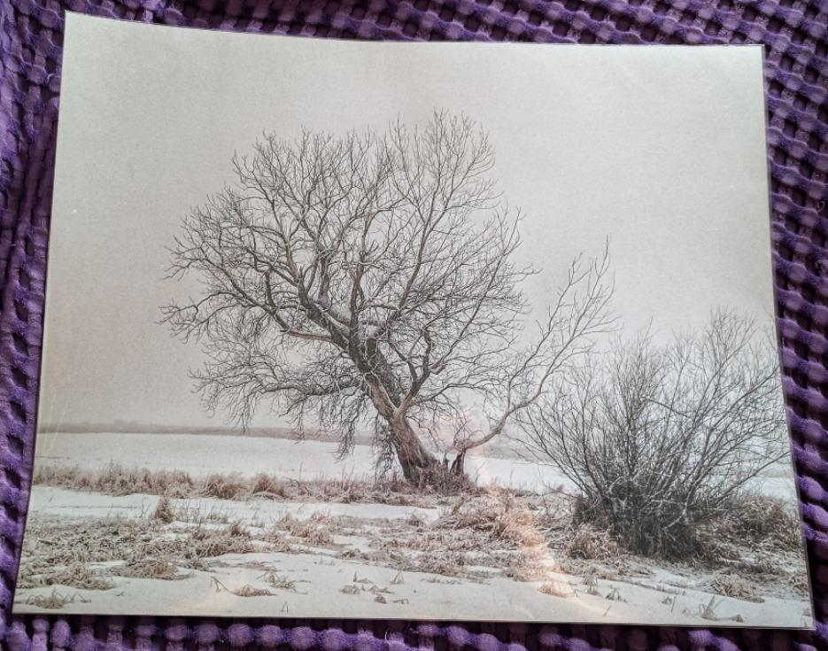 16 x 20" unframed photograph