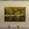 5 x 7" photograph in white gallery mat border Reflection
