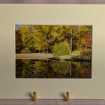5 x 7" photograph in white gallery mat border Reflection