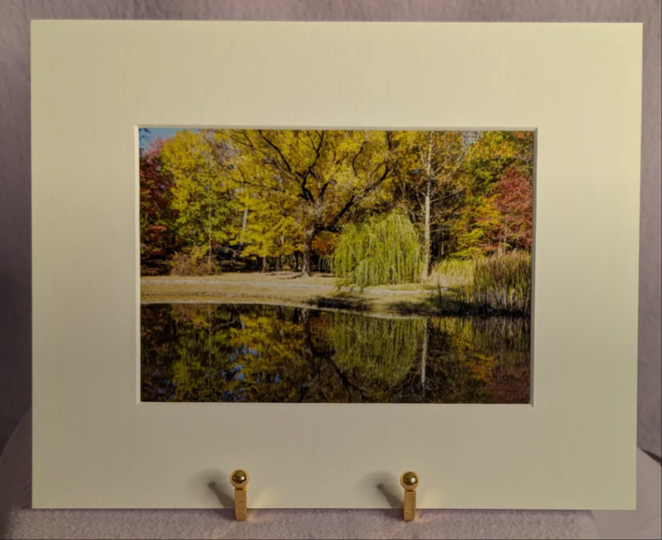 5 x 7" photograph in white gallery mat border Reflection