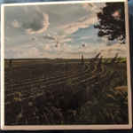 Photo Coaster bean field