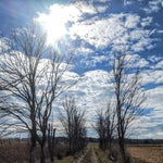 Light prism in the cloud