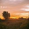 Framed 8 x 10" photograph Sunrise