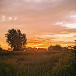 Framed 8 x 10" photograph Sunrise