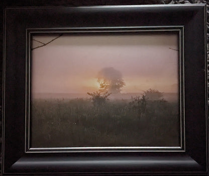 8 x 10" framed photograph Haze