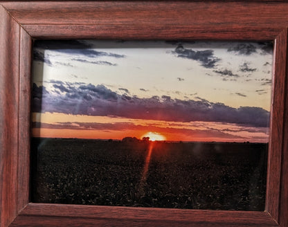 5 x 7 " framed photograph sunset over field