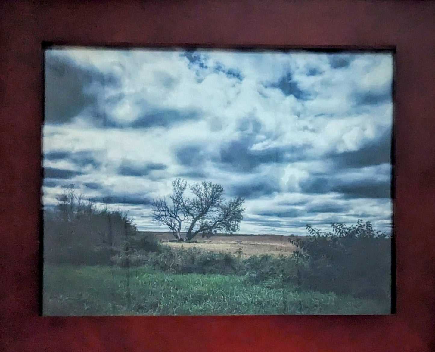 Framed 8x10 on Metallic	paper with Fine Linen Texture	on Single Weight Matboard