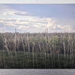 Photography landscape postcard