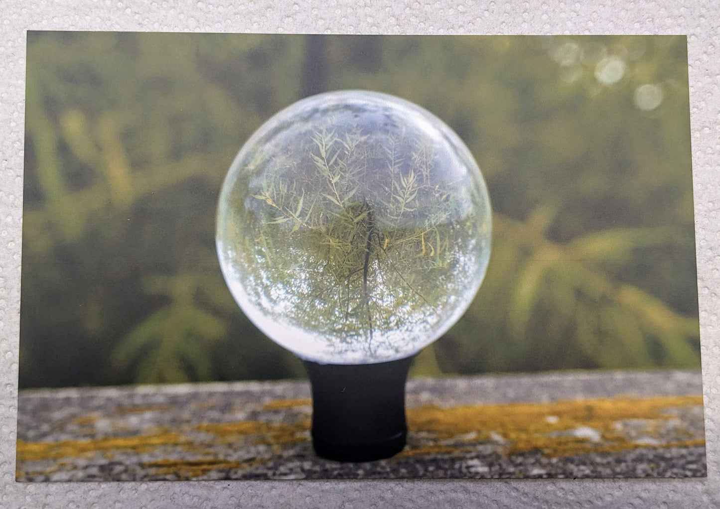 Lensball photography postcard