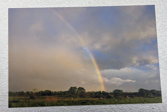 Rainbow postcard