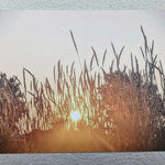 Sunrise postcard