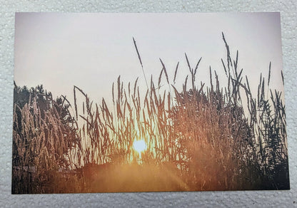 Sunrise postcard