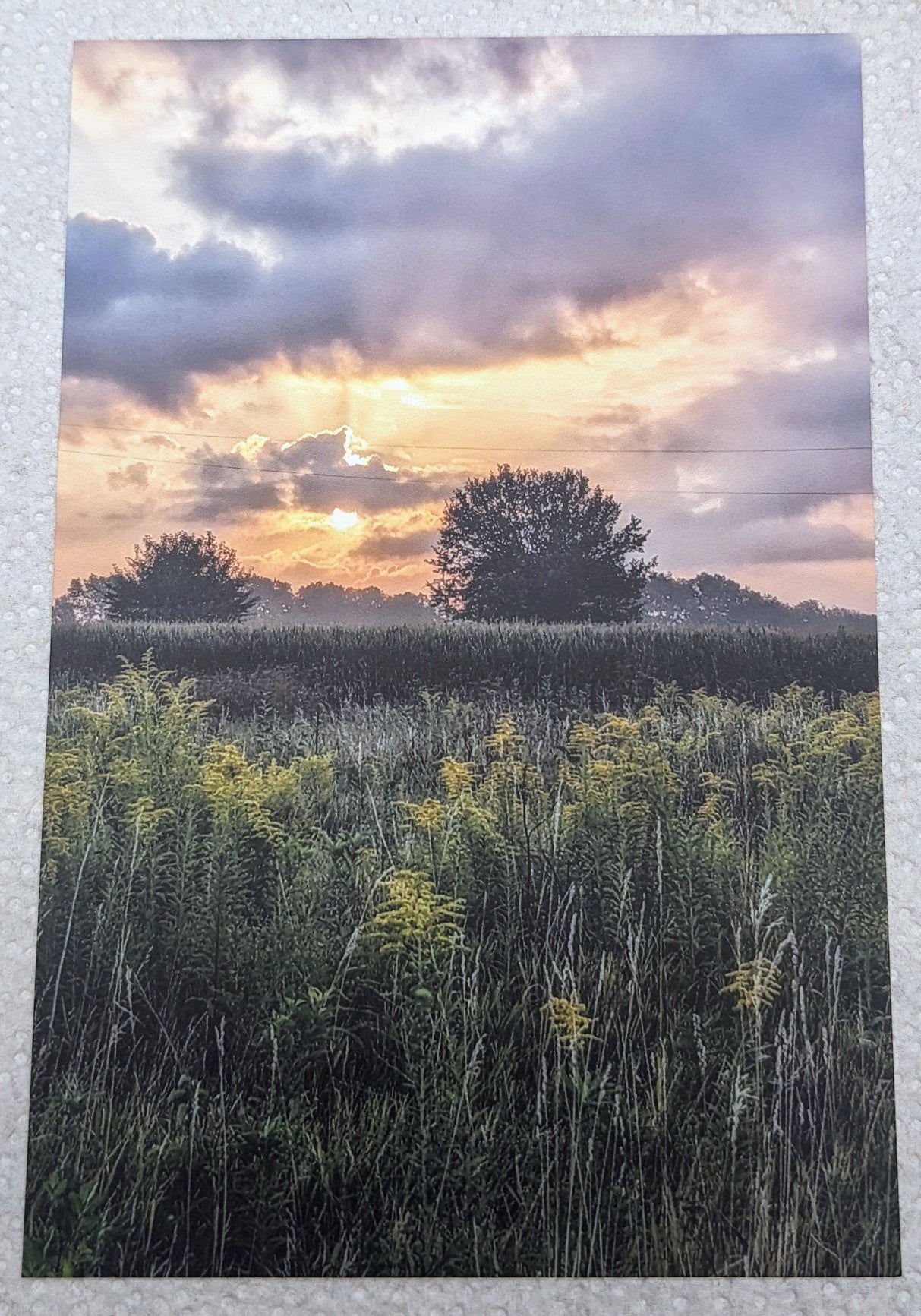 Prairie postcard