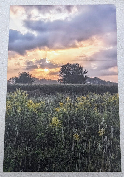 Prairie postcard