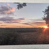 Farm field postcard