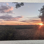 Farm field postcard