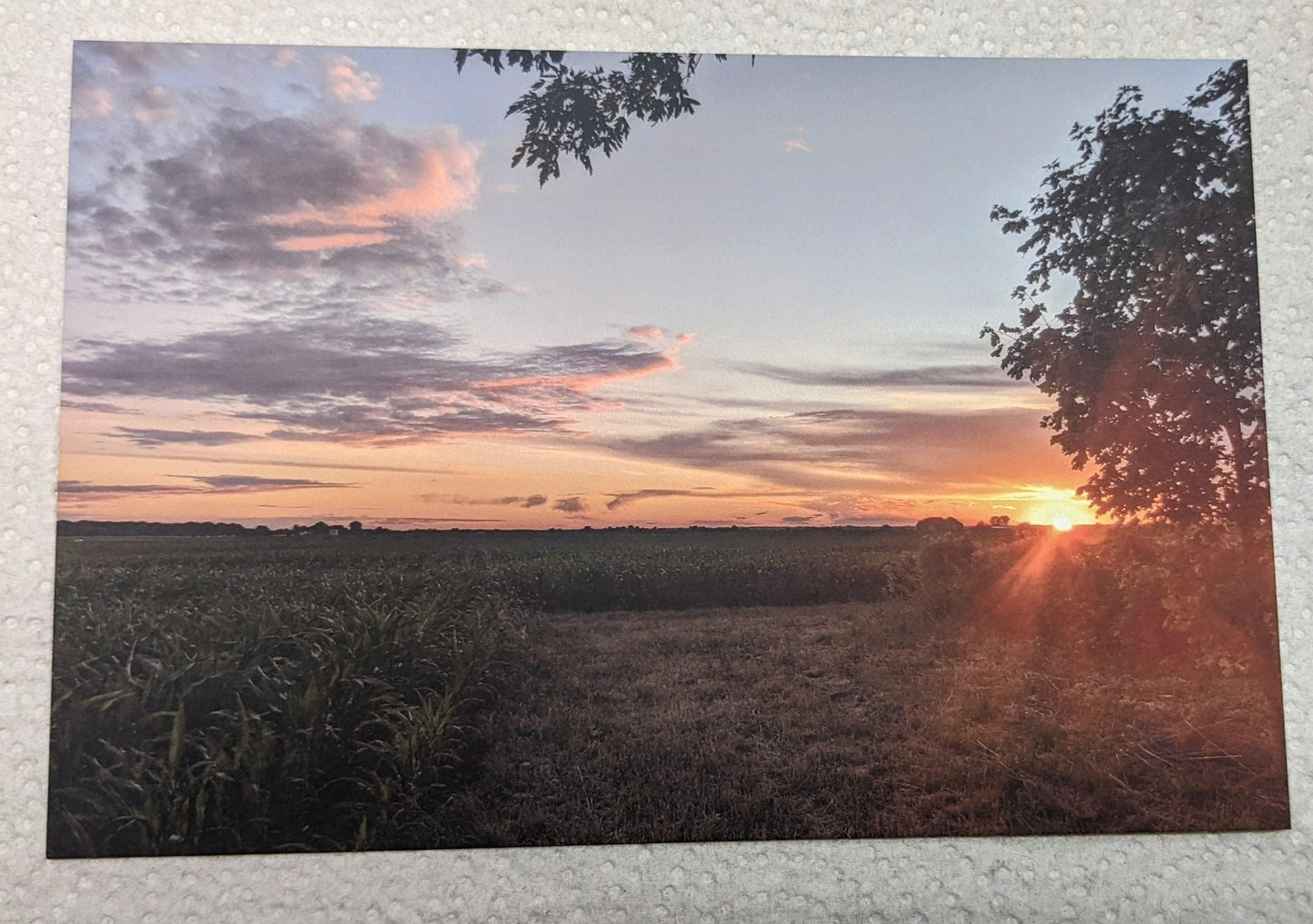 Farm field postcard