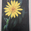 Yellow flower postcard