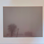 Winter fog landscape photograph