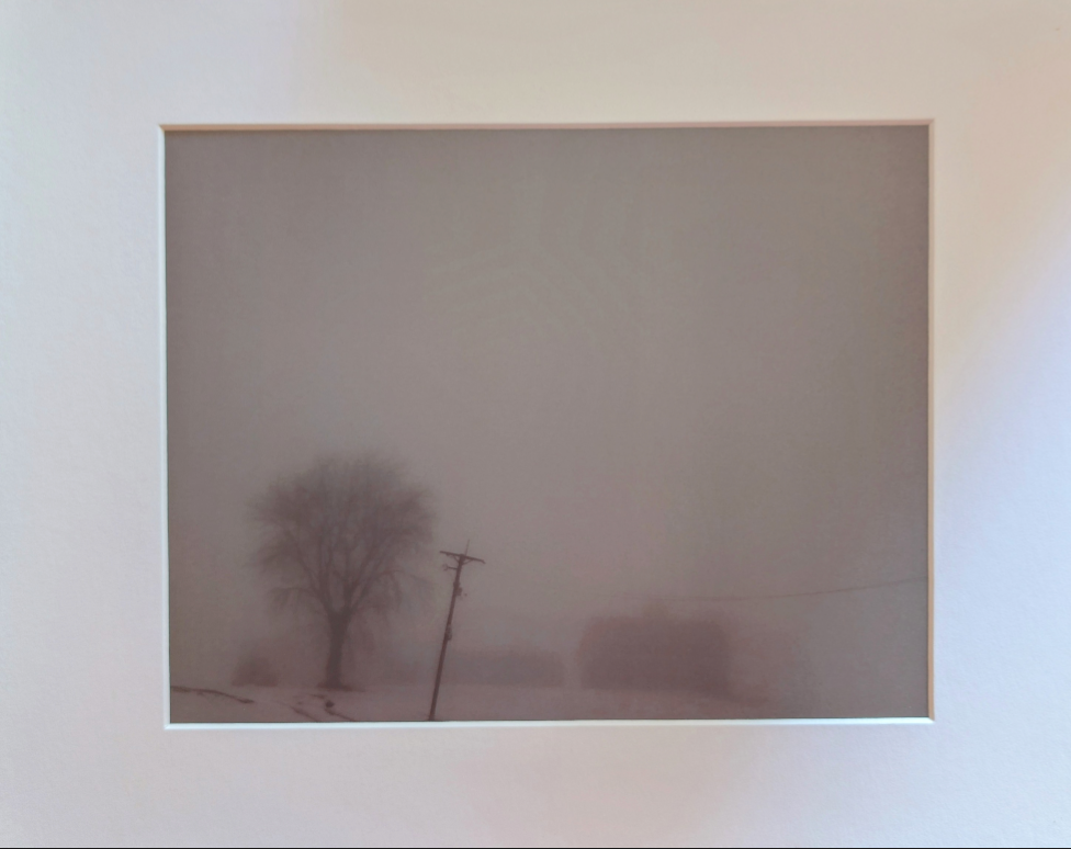 Winter fog landscape photograph
