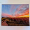 Landscape photograph in mat border