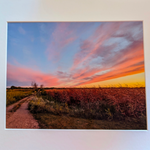 Landscape photograph in mat border