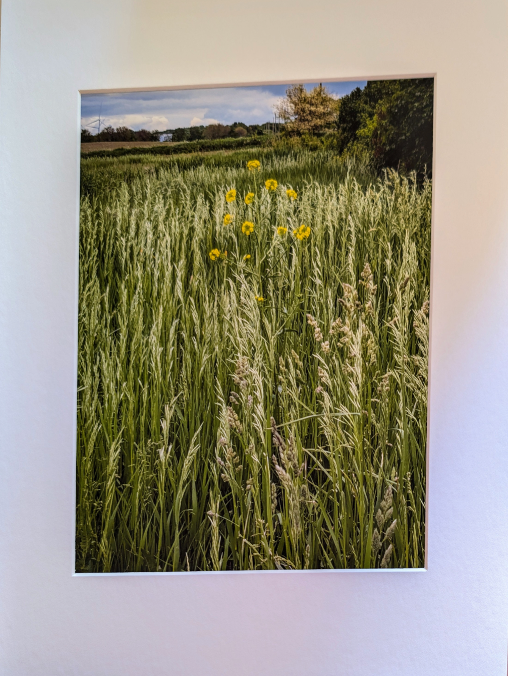 Illinois Landscape photograph