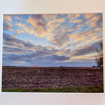 Landscape photograph Illinois countryside