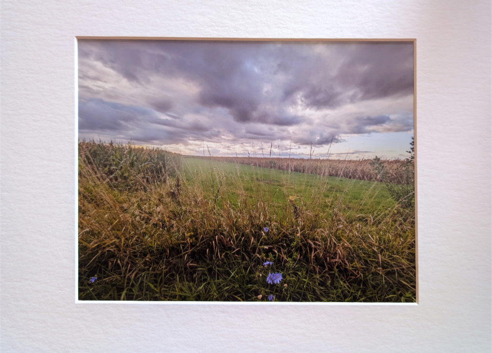 Illinois Landscape photograph field